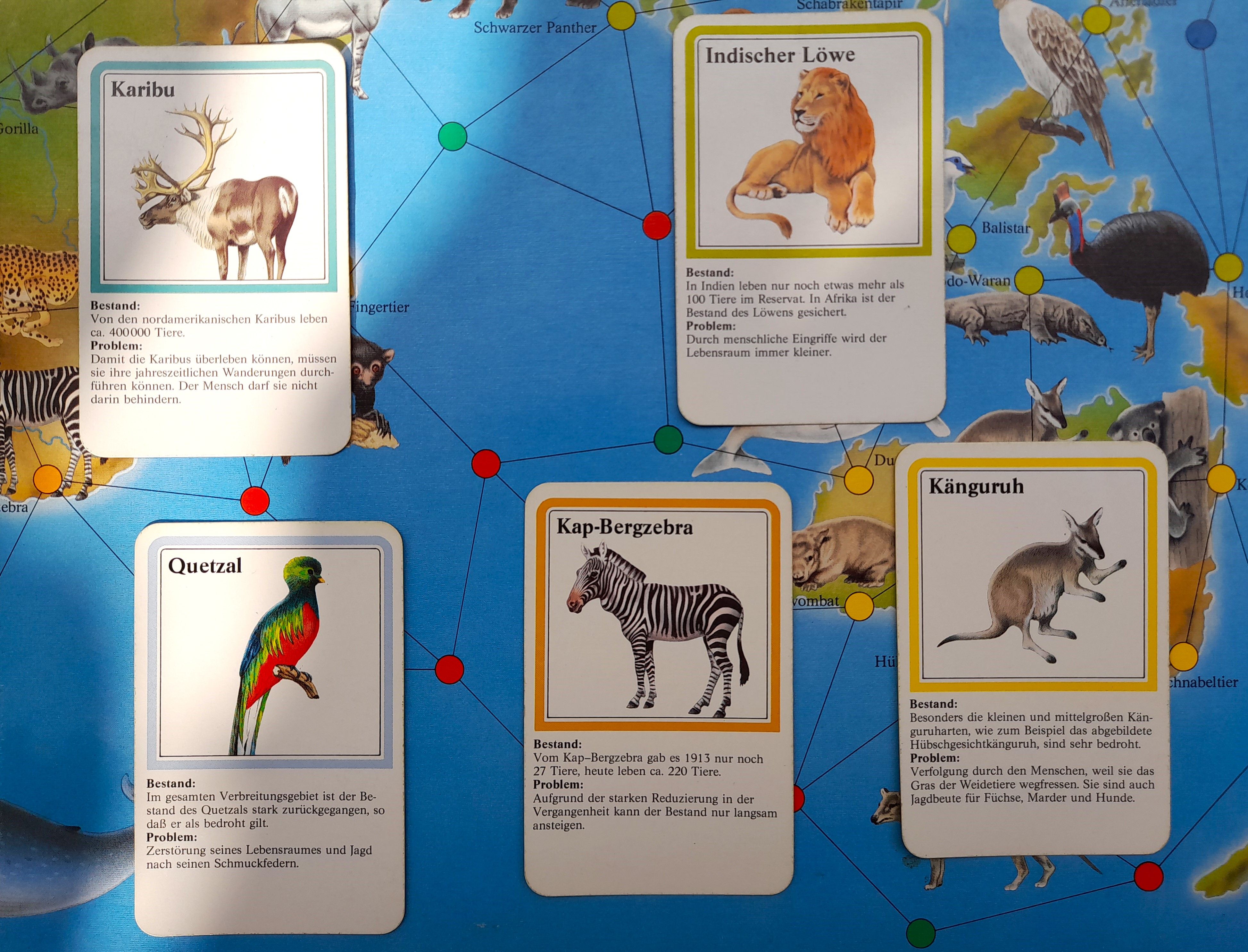 Abenteuer Tierwelt: Spielmaterial